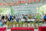 Khởi động dự án phát triển vùng nguyên liệu mét, luồng theo hướng quản lý rừng bền vững tại Nghệ An