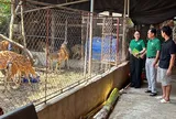 Hội Nông dân Nghệ An phát động Cuộc thi 'Nhà nông khởi nghiệp sáng tạo' năm 2026