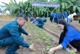 Đồng hành cùng sắc áo quân nhân