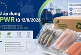 PPWR chính thức áp dụng tại EU: Doanh nghiệp thủy sản cần lưu ý gì từ 12/8/2026?