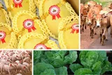 Nông nghiệp 9 tháng năm 2026: tăng trưởng 4,02%, bảo đảm nguồn cung và thúc đẩy xuất khẩu