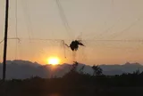 Nâng cao nhận thức, hành động trong công tác bảo vệ những đàn chim hoang dã