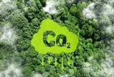 Sớm hoàn thiện khung pháp lý thị trường carbon rừng, đẩy mạnh phân cấp cho địa phương