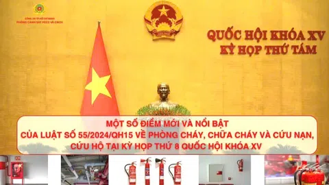 Những điểm nhấn của Luật Phòng cháy, chữa cháy và cứu nạn, cứu hộ có hiệu lực thi hành từ 01/7/2025 những người đang kinh doanh, sản xuất trong lĩnh vực nông nghiệp cần lưu ý