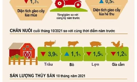 10 tháng 2021, kinh tế từng bước cải thiện theo chiều hướng tích cực
