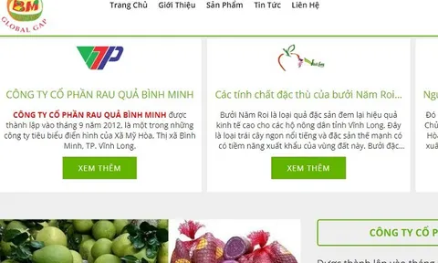 Nông sản Vĩnh Long lên sàn thương mại điện tử với tên miền ".vn"