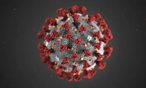 So sánh sự nguy hiểm của các chủng coronavirus Delta và AY.4.2