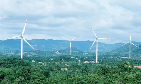 GWEC: Việt Nam phụ thuộc quá nhiều vào điện than, chưa phát triển đủ năng lượng gió