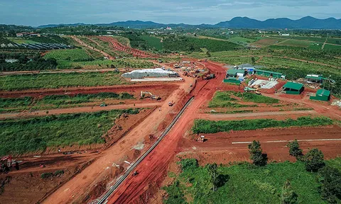 Thủ phủ trà Lâm Đồng bị 'băm nát'