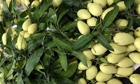 Đẩy mạnh hoạt động tiêu thụ nông sản Việt trực tuyến nhằm phục hồi kinh tế sau mùa dịch