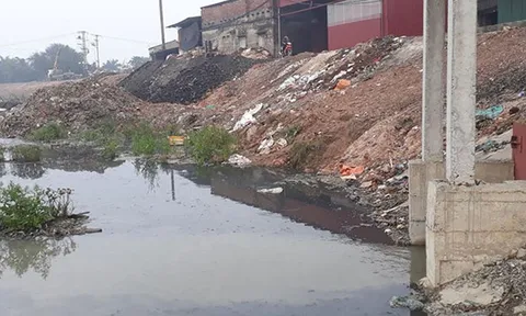 Bộ TN&MT đề nghị 2 tỉnh Bắc Ninh, Bắc Giang giải quyết tình trạng ô nhiễm sông Cầu