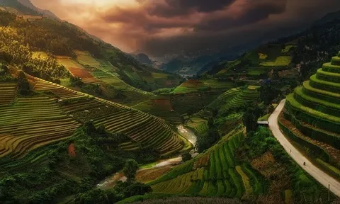 Thiên nhiên được tôn vinh tại giải thưởng nhiếp ảnh Pano Awards