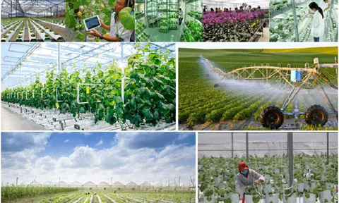 Đẩy mạnh ứng dụng công nghệ thông tin trong sản xuất, tiêu thụ sản phẩm nông nghiệp (Bắc Giang)