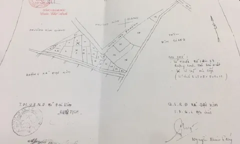 Việc mua bán đất nông nghiệp trái phép tại phường Kim Giang?