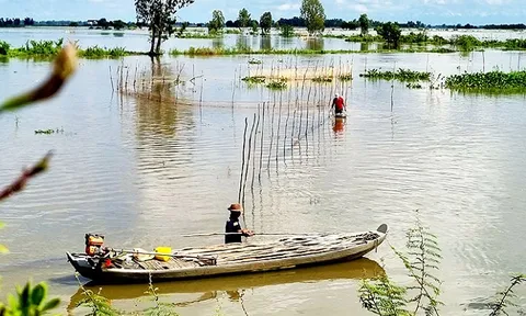 Mưu sinh trong lũ muộn đầu nguồn sông Cửu Long