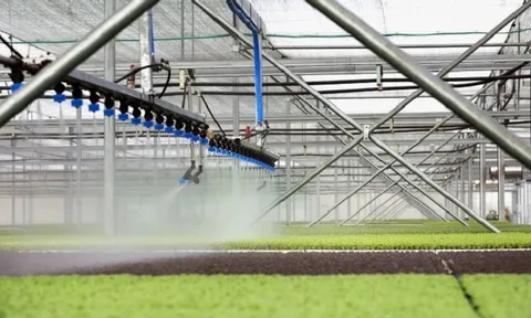 Giải pháp ứng dụng công nghệ số nâng cao năng suất ngành nông nghiệp
