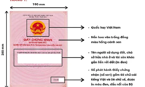 Các thông tin cơ bản trên sổ hồng