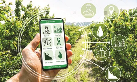 Đặt mục tiêu tăng cường chuyển đổi số trong lĩnh vực nông nghiệp đến năm 2030