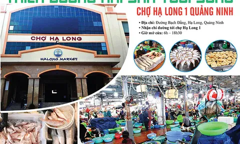 Thiên đường hải sản tươi sống: Chợ Hạ Long 1 Quảng Ninh