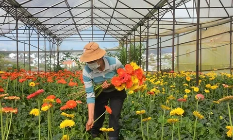 Hà Nội thúc đẩy phát triển nông nghiệp thông minh