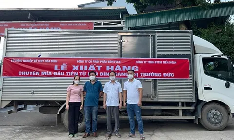 Hòa Bình xuất khẩu 10 tấn mía đầu tiên sang Đức