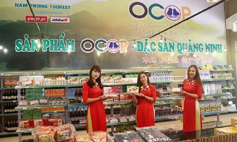 Quảng Ninh: Nâng cao chất lượng và hiệu quả chương trình OCOP