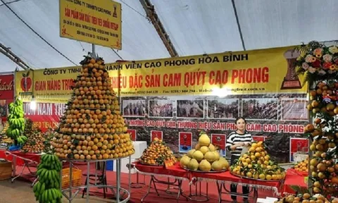 Chương trình OCOP phát huy các sản phẩm lợi thế tại Hòa Bình
