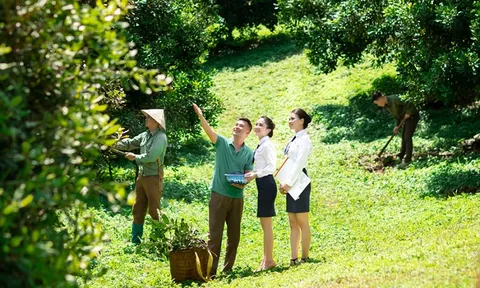 Đầu tư nông nghiệp - mắt xích thúc đẩy phục hồi kinh tế