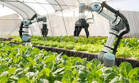 Giải pháp nào để phát triển nông nghiệp đô thị thông minh