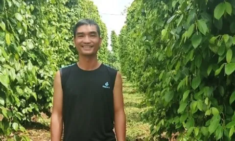 Hiệu quả từ mô hình sử dụng chế phẩm sinh học