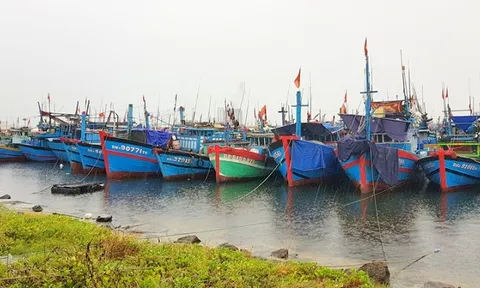 Khai thác thủy sản thích ứng an toàn, linh hoạt trong tình hình mới