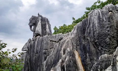 Khám phá kiệt tác thiên nhiên rừng đá hùng vĩ nhất nước Nga