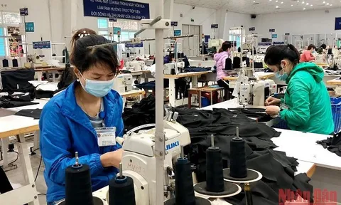 Ngân hàng Thế giới: Kinh tế Việt Nam đang phục hồi