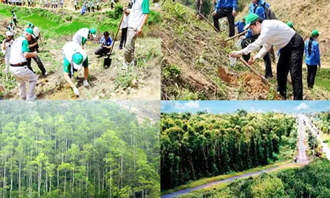 Kỷ niệm ngày Lâm nghiệp Việt Nam (28/11) và 76 năm thành lập ngành Lâm nghiệp cách mạng Việt Nam (01/12/1945 - 01/12/2021): Những dấu mốc đáng ghi nhớ