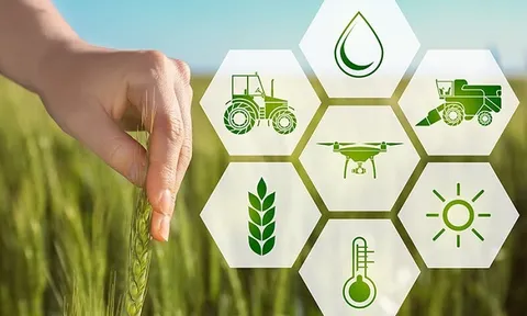 Nhiều dư địa phát triển nông nghiệp thông minh