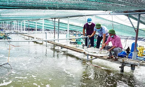 Phát triển kinh tế biển vùng nam đồng bằng sông Hồng