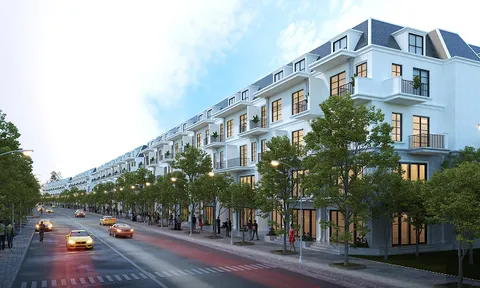 Phố thị giữa đại ngàn xanh mát