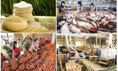 Điều gì khiến nông sản Việt Nam chưa chinh phục được thị trường Nga?