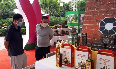 100 chủ thể OCOP tham gia giới thiệu, quảng bá, kết nối giao thương tại phố đi bộ Trinh Công Sơn
