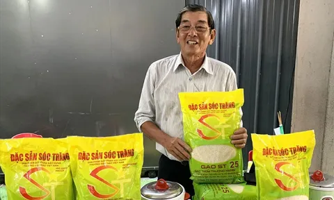 Tổng cục Quản lý thị trường vào cuộc bảo vệ thương hiệu gạo ST24, ST25