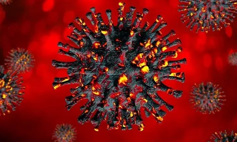 Nóng: Việt Nam phát hiện ca bệnh COVID-19 nhiễm biến chủng Omicron đầu tiên