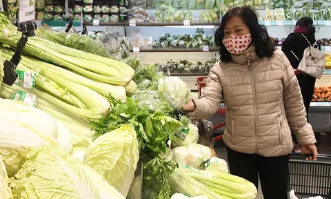 Chủ động kết nối tiêu thụ rau vụ đông