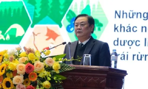 Phát huy tiềm năng kinh tế dưới tán rừng