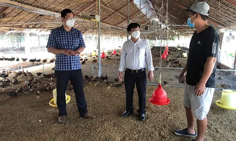 Bảo đảm nguồn cung thịt gia súc, gia cầm dịp năm mới
