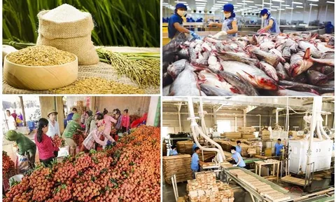 Dịch bệnh phức tạp, kim ngạch xuất khẩu nông, lâm, thủy sản vẫn tăng