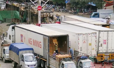 Điều tiết xuất khẩu hàng nông sản, thủy sản sang Trung Quốc