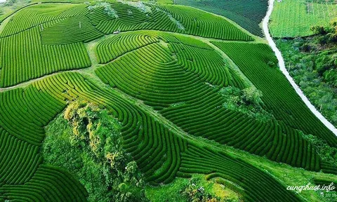 Sự tham gia của người dân vào phát triển du lịch cộng đồng trước và sau dịch Covid-19 tại Mộc Châu, Sơn La