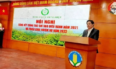 Năm 2021, giá trị xuất khẩu lâm sản tăng vượt kế hoạch 20%