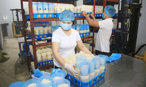Gỡ vướng cho nông nghiệp ứng dụng công nghệ cao