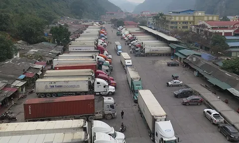 Hàng nghìn xe chở nông sản ùn ứ tại các cửa khẩu ở Lạng Sơn